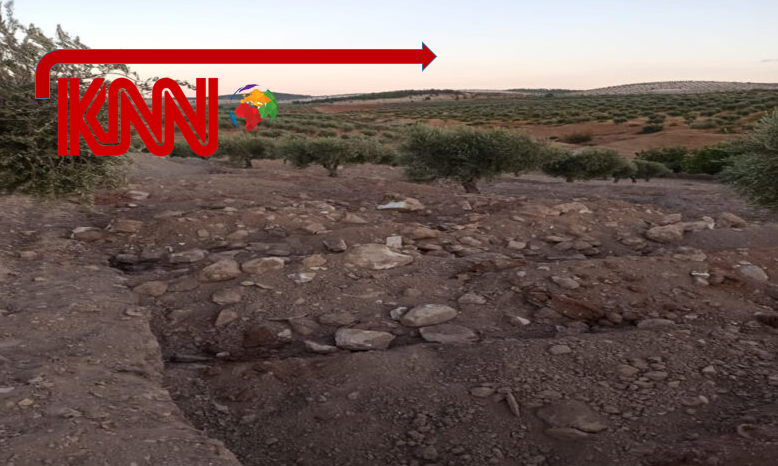 archeology القوات التركية والموالون لها يواصلون نهب الآثار في عفرين